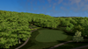 Saint Andrews Golf Club, NY