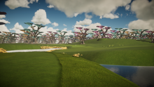Enchanted Forest