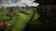 Enchanted Forest