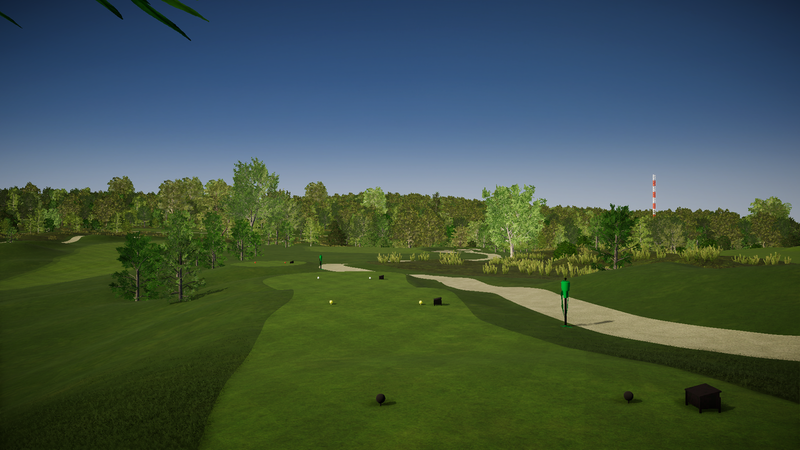 ForesightSportsCanada PB Dye