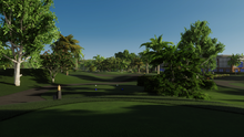 Tropical Paradise Executive