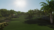 Tropical Paradise Executive