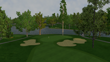Schaumburg National