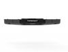 Falcon