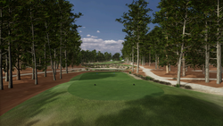 Pinehurst No. 2