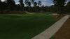 Pinehurst No. 8