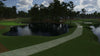Pinehurst No. 9