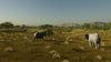Serengeti Golf Club