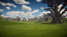 Enchanted Forest